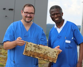 Zwei Männer in blauen Kitteln halten eine Wabe mit Honig in der Hand, während sie neben einem Bienenstock stehen.